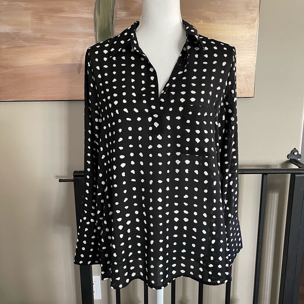 Pleione Long Sleeve Blouse